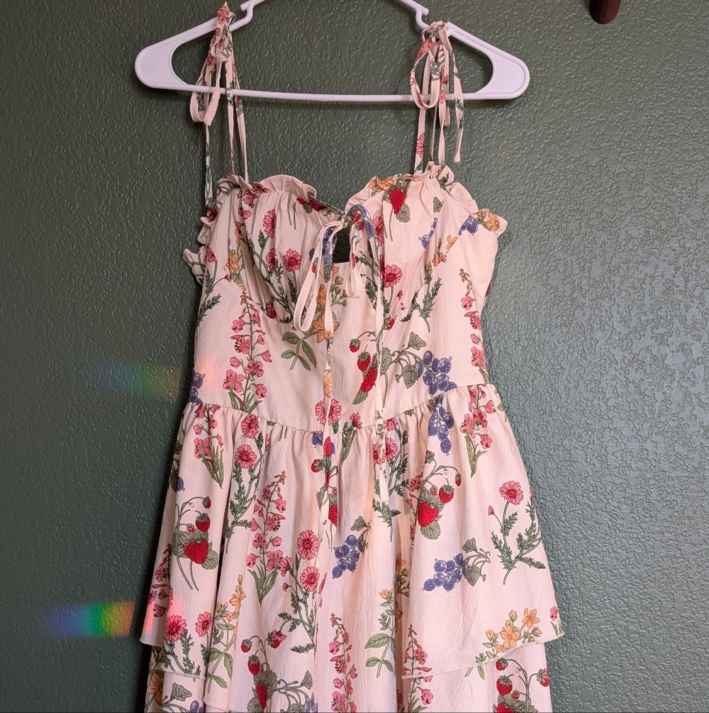 NWOT Cider Mini Dress